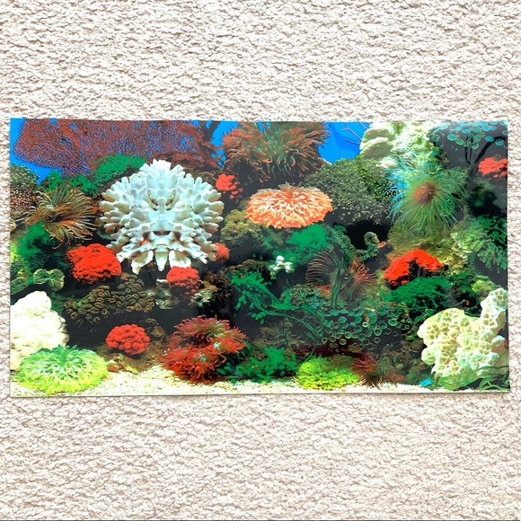 Aquarium Fish Tank Landscape Decor Wallpaper 16”x9” - Picture 1 of 3